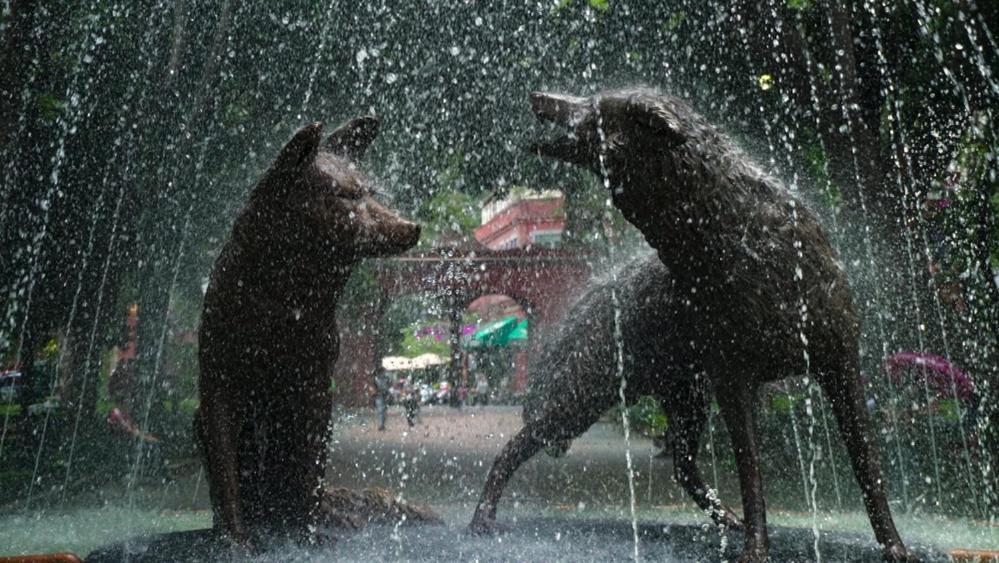 Casa Kalidy Coyoacan Mexico City Luaran gambar