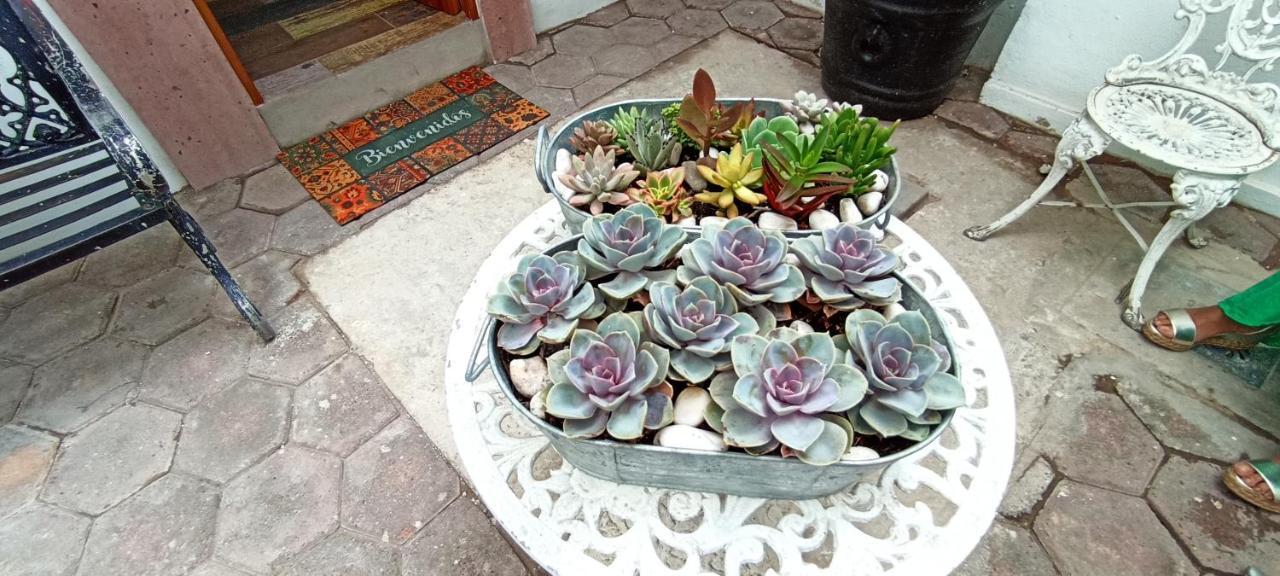 Casa Kalidy Coyoacan Mexico City Luaran gambar
